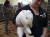 Flower ADOPTED