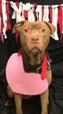 Yuli ADOPTED