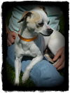 Izzy ADOPTED