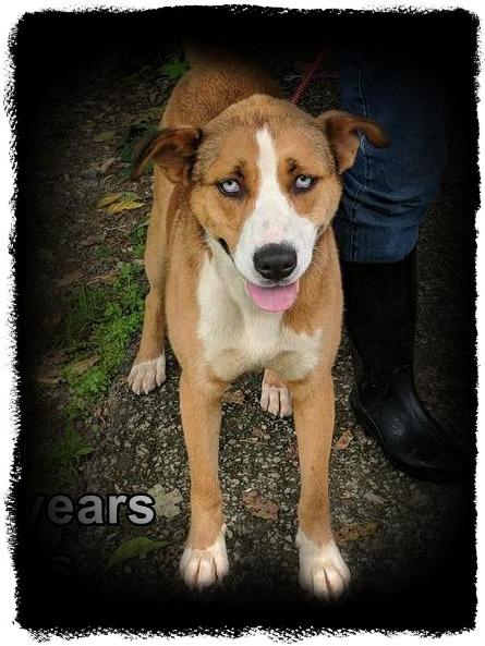 Ivan ADOPTED
