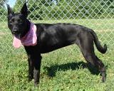 Dani ADOPTED