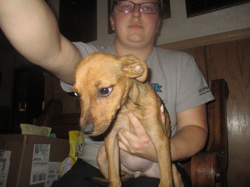 Vivian ADOPTED