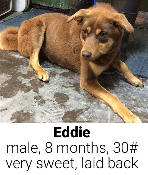 Eddie M