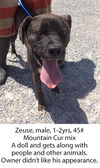 Zeus
