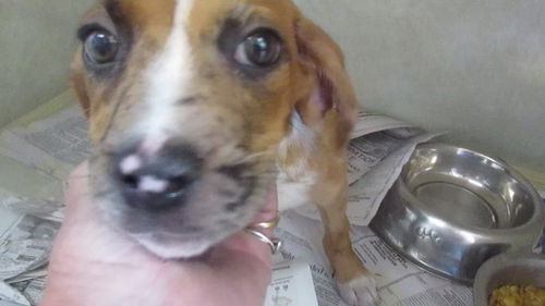 Darby AKA LUCKY
