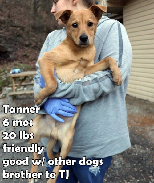Tanner L