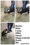 Nacho