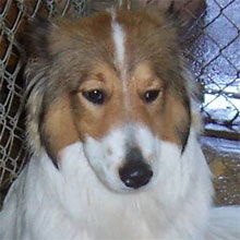 Tammy