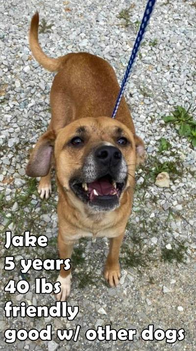 Jake
