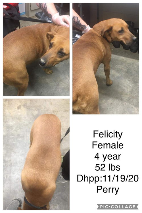 Felicity