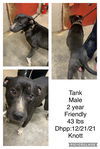 Tank