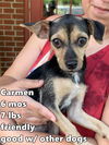 Carmen