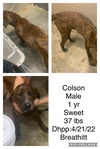 Colson