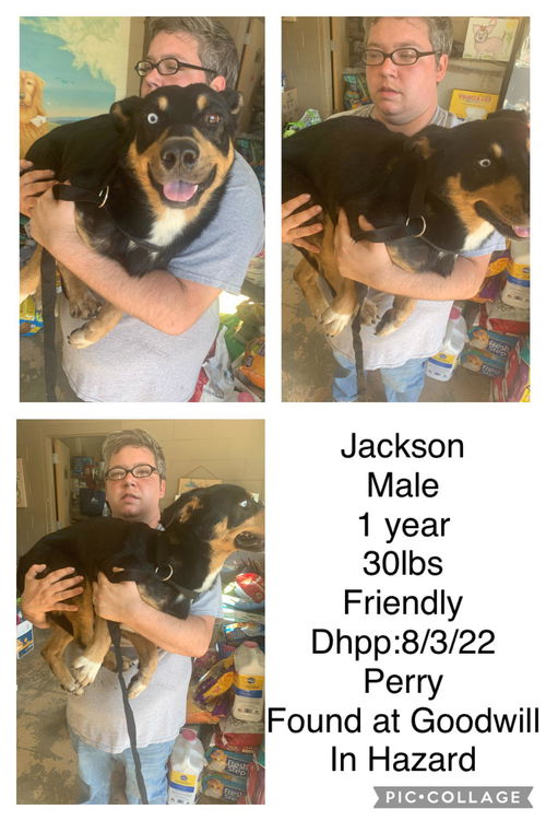 Jackson