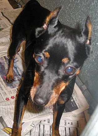 Zoe