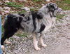 Yukon