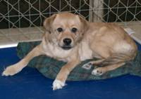 Jackson ARRIVING 2/13