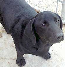 Teagan