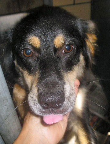 Zoey
