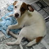 Omar