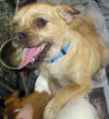 Mable