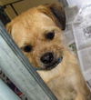 Mable