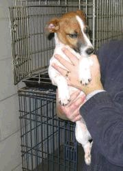 Jack ARRIVING 1/15