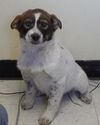 Fiona (also called Sandy)