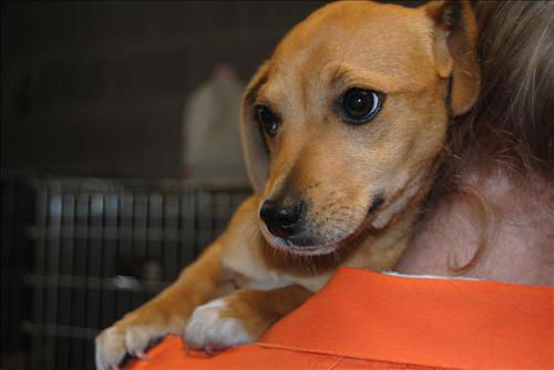Macey ARRIVING 3/26