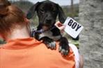 Fitch ARRIVING 4/16