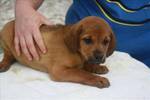 Daphne ARRIVING 5/7