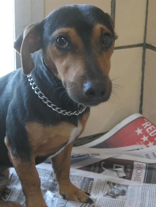 Gary ADOPTED!!!!