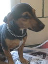 Gary ADOPTED!!!!