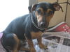 Gary ADOPTED!!!!
