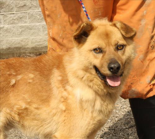 Abram ADOPTED
