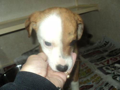 Jackee ADOPTED