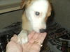 Jackee ADOPTED