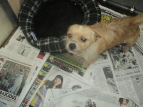 Finnigan ADOPTED