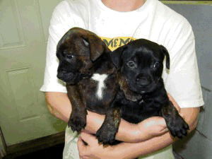 Jack and Jill