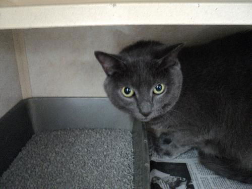TeeTee ADOPTED