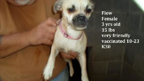 Flo ADOPTED