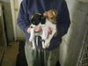 Jack & Jill BOTH HAVE BEEN ADOPTED