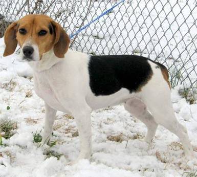 Faith ADOPTED