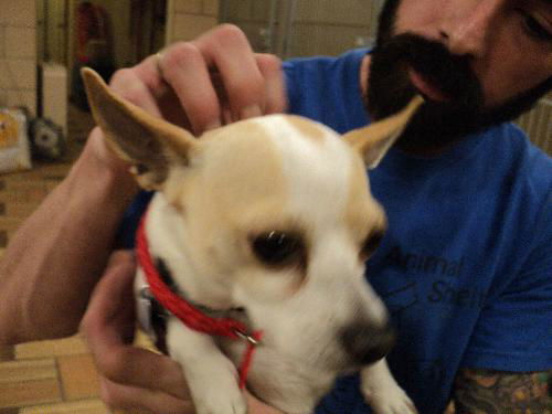 Vern ADOPTED