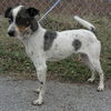 Tater Tot ADOPTED