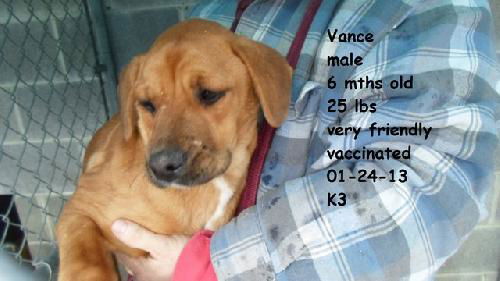 Vance ADOPTED