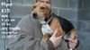Flynt ADOPTED