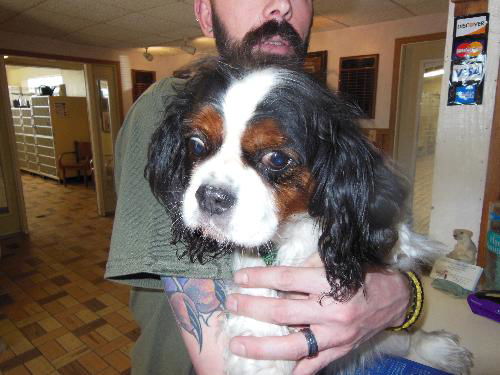 Danny ADOPTED