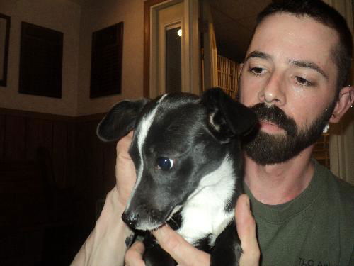 Daisy ADOPTED