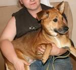 Faith ADOPTED